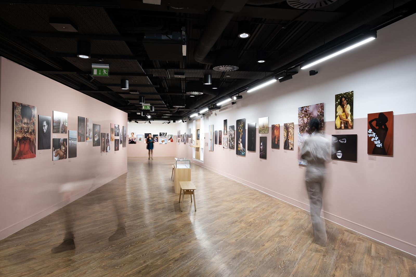 Curating Art Exhibitions